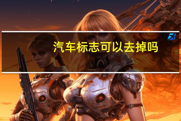 汽车标志可以去掉吗