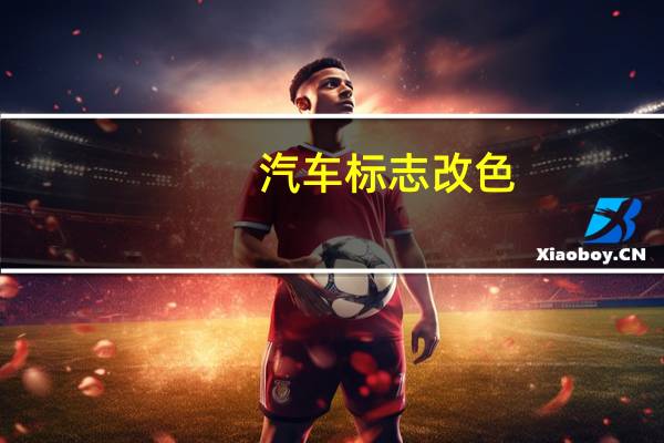 汽车标志改色