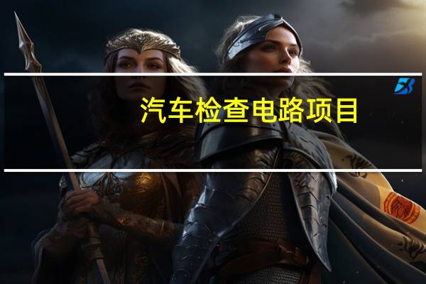 汽车检查电路项目