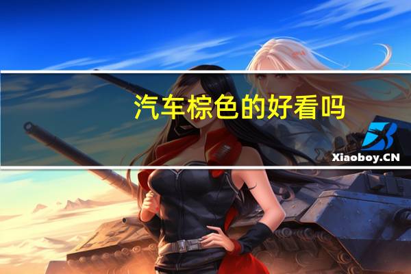 汽车棕色的好看吗