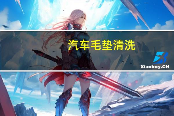 汽车毛垫清洗