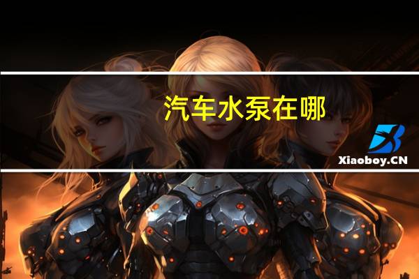 汽车水泵在哪