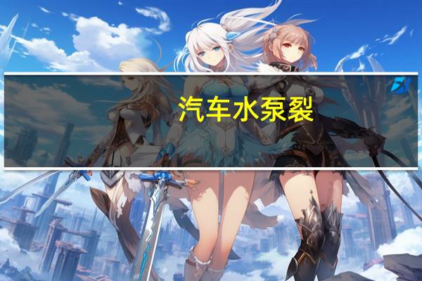 汽车水泵裂