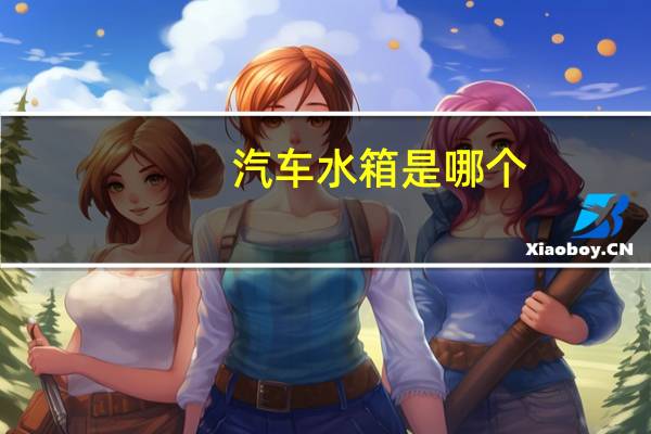 汽车水箱是哪个