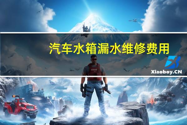 汽车水箱漏水维修费用