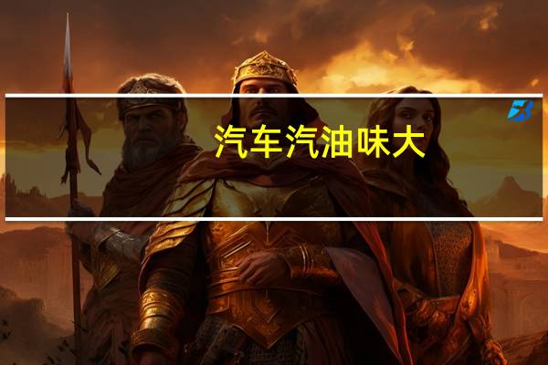 汽车汽油味大