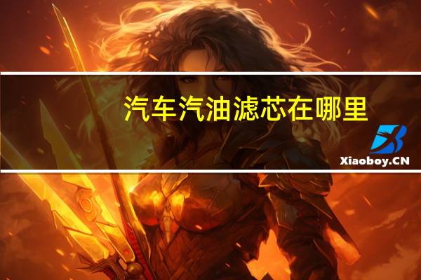 汽车汽油滤芯在哪里
