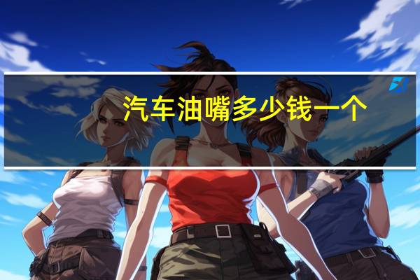 汽车油嘴多少钱一个
