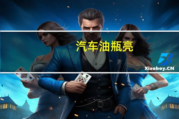 汽车油瓶亮