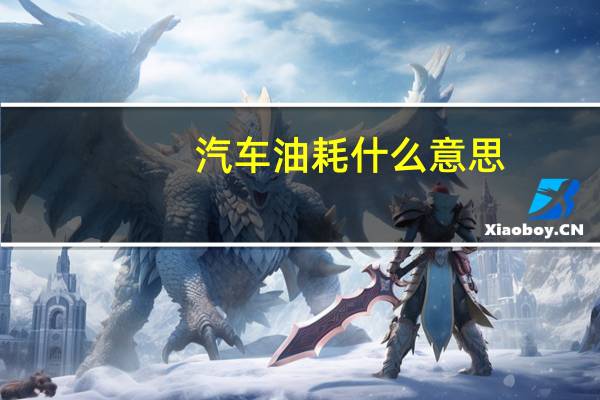汽车油耗什么意思