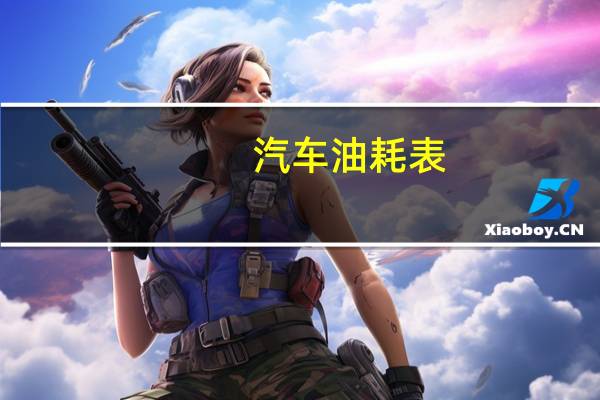 汽车油耗表