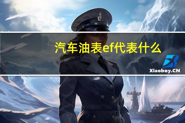 汽车油表ef代表什么
