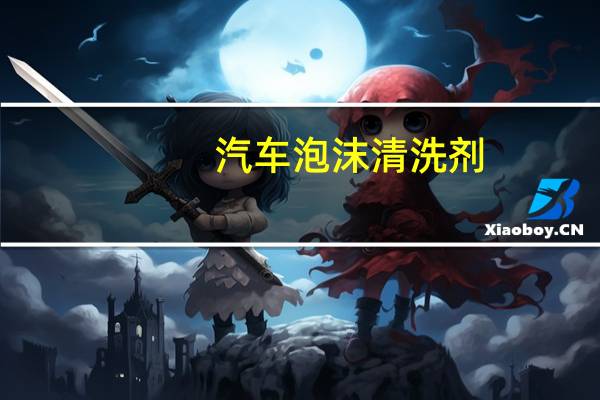汽车泡沫清洗剂