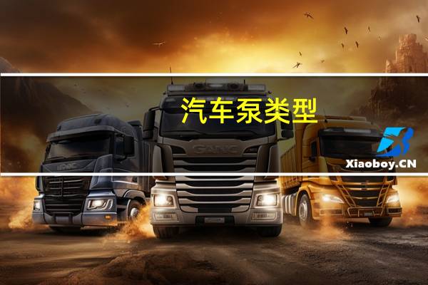汽车泵类型