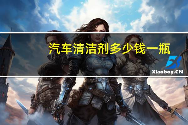汽车清洁剂多少钱一瓶