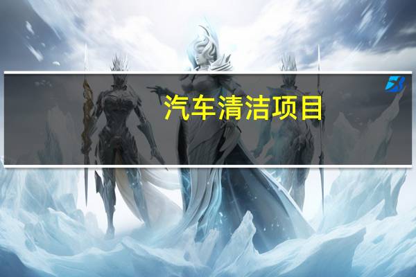 汽车清洁项目