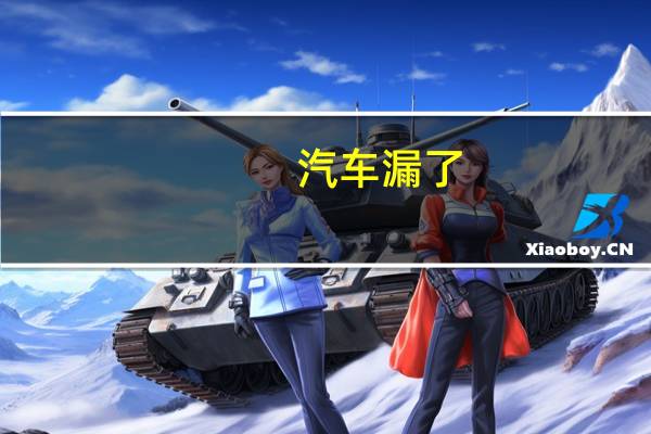 汽车漏了