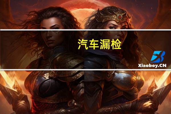 汽车漏检