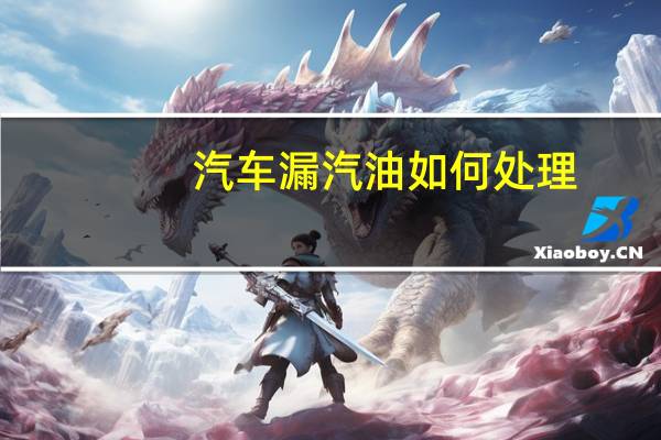 汽车漏汽油如何处理