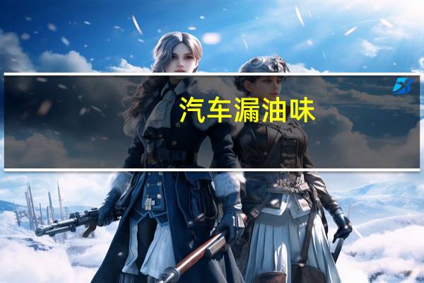 汽车漏油味