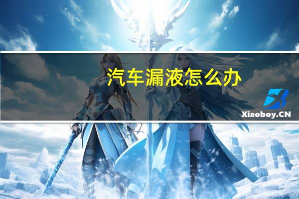 汽车漏液怎么办