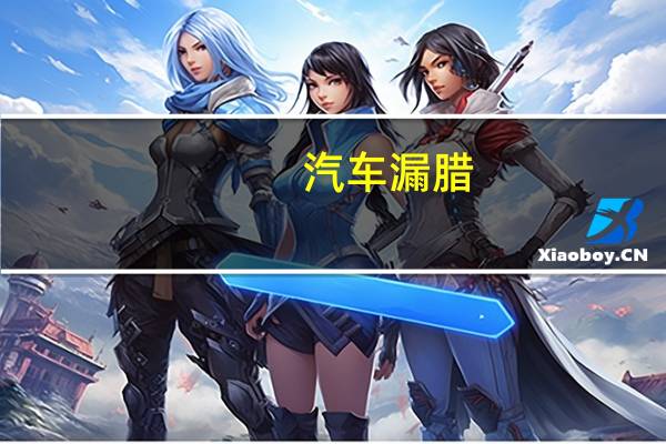 汽车漏腊