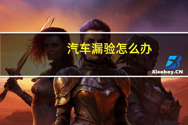 汽车漏验怎么办