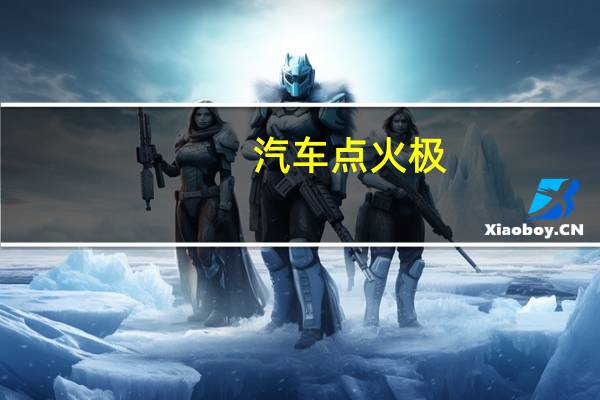汽车点火极