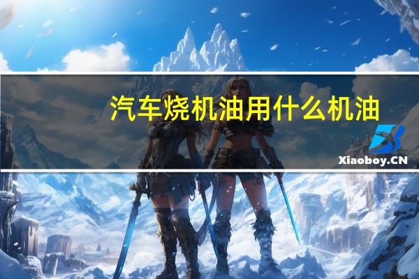 汽车烧机油用什么机油