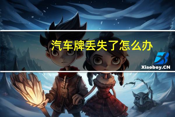 汽车牌丢失了怎么办