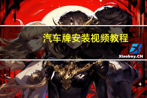 汽车牌安装视频教程