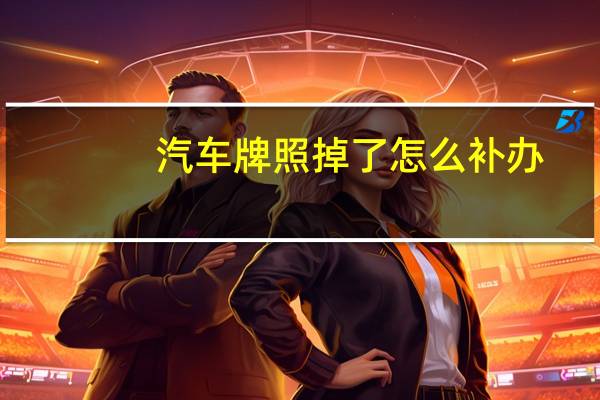 汽车牌照掉了怎么补办