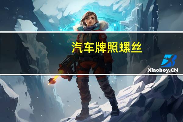 汽车牌照螺丝