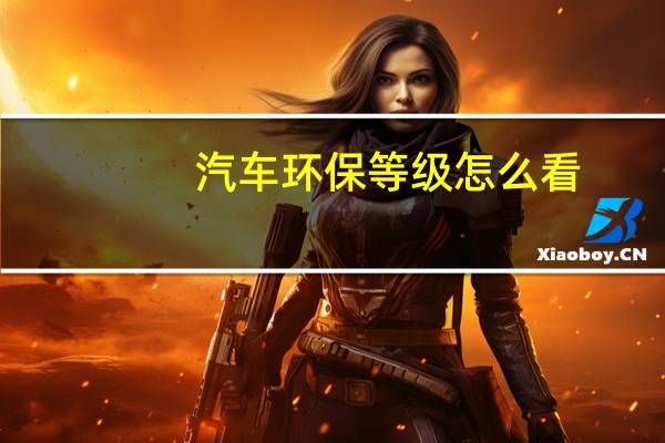 汽车环保等级怎么看