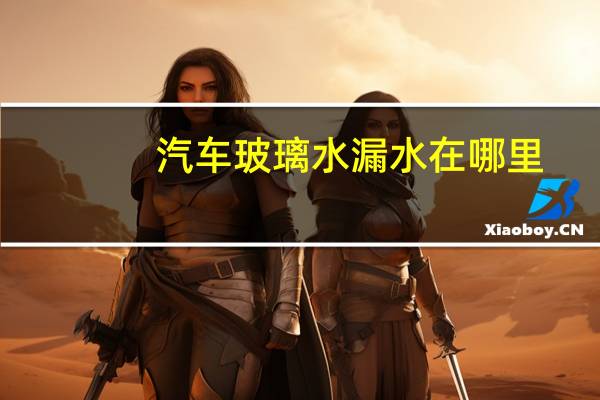 汽车玻璃水漏水在哪里
