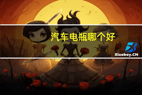 汽车电瓶哪个好