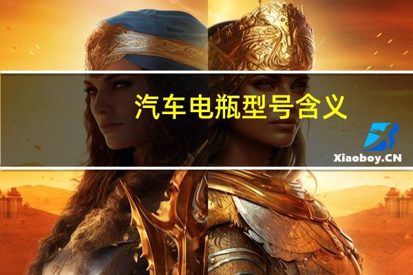 汽车电瓶型号含义