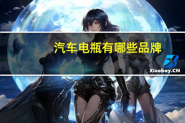 汽车电瓶有哪些品牌