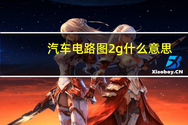 汽车电路图2g什么意思
