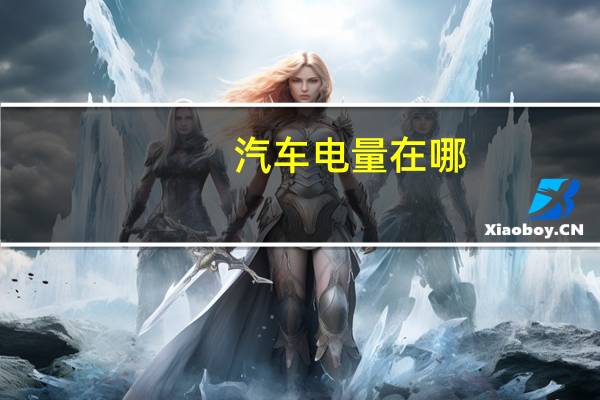 汽车电量在哪