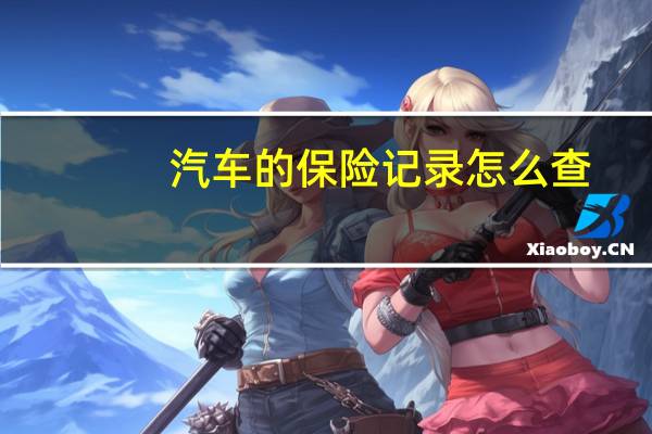 汽车的保险记录怎么查