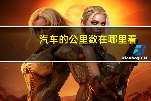汽车的公里数在哪里看