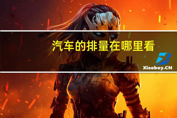 汽车的排量在哪里看