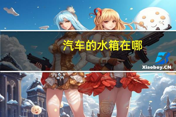 汽车的水箱在哪