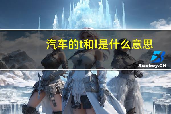 汽车的t和l是什么意思