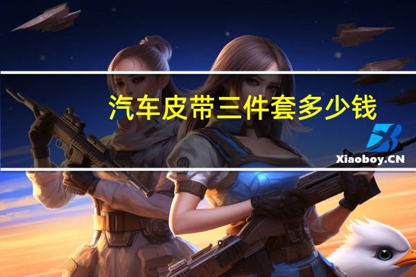 汽车皮带三件套多少钱