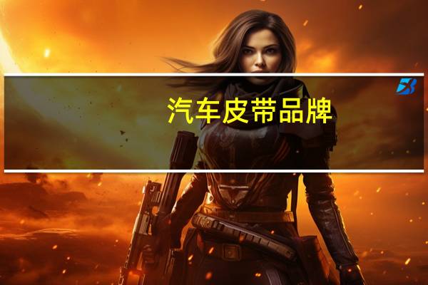 汽车皮带品牌