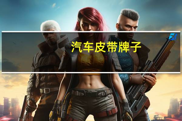 汽车皮带牌子