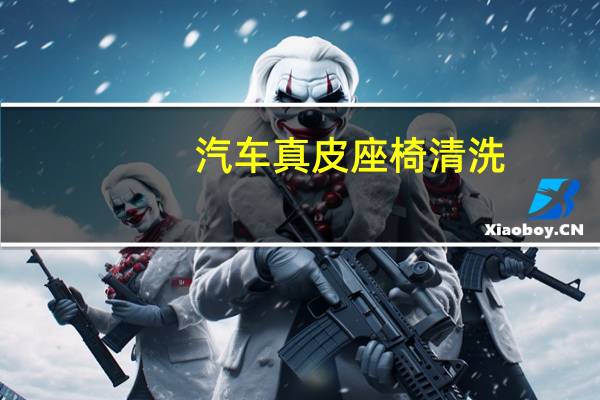 汽车真皮座椅清洗