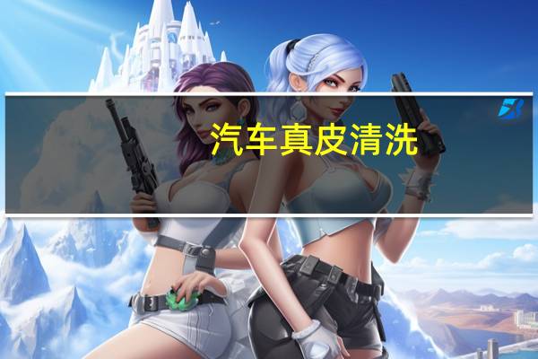 汽车真皮清洗